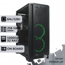 Сервер TOWER PowerUp #96 AMD EPYC 7713/256 GB/SSD 1TB х2 Raid/Int Video